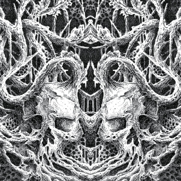 V/A "SLUDGE COMPILATION - FINDOOMLAND" LP