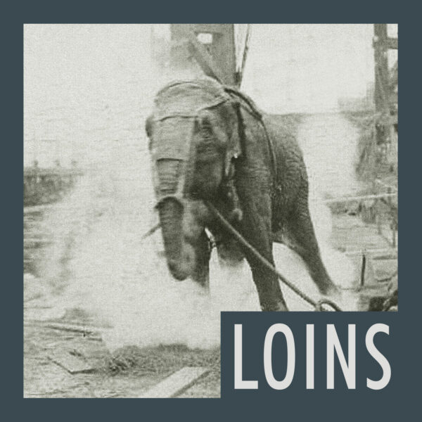LOINS "s/t" MLP (BLACK VINYL)