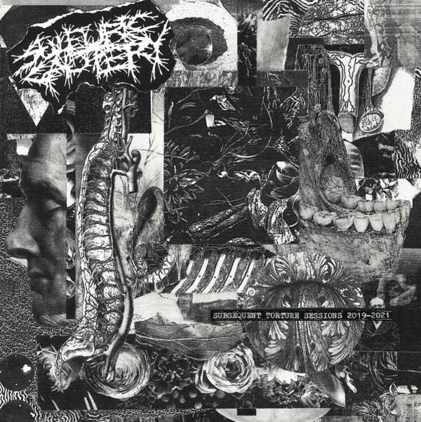 SULFURIC CAUTERY "Subsequent Torture Sessions" CD (JAP Import)