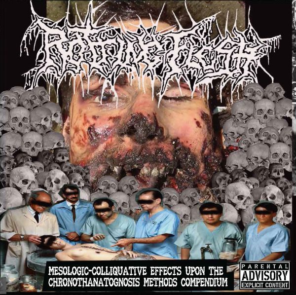 ROTTING FLESH "Mesologic Colliquative Effects Upon The Chronothanatognosis Methods Compendium" LP (BLACK VINYL)